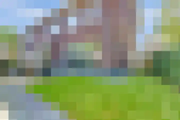 Kerkekkers 4 Hulsel thumbnail 40