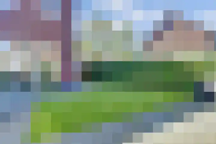 Kerkekkers 4 Hulsel thumbnail 43