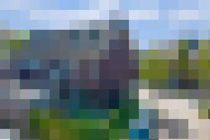 Kerkekkers 4 Hulsel thumbnail 44