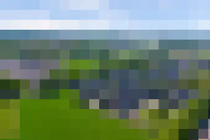 Kerkekkers 4 Hulsel thumbnail 46
