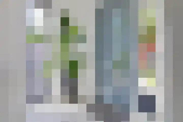 Kerkekkers 4 Hulsel thumbnail 6