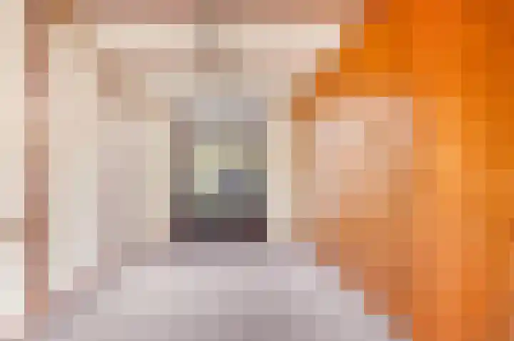 Kerkelaan 17 Heiloo thumbnail 12