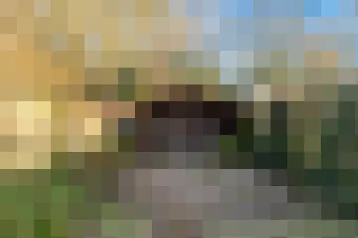 Kerkelaan 17 Heiloo thumbnail 38