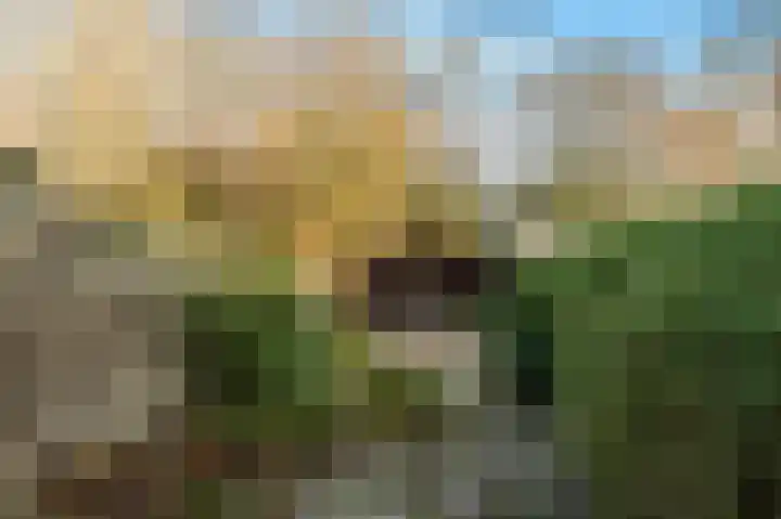 Kerkelaan 17 Heiloo thumbnail 5