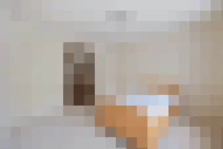 Kerkelaan 42 Heiloo thumbnail 16