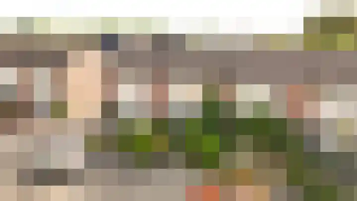 Kerkeland 14 Dreumel thumbnail 32