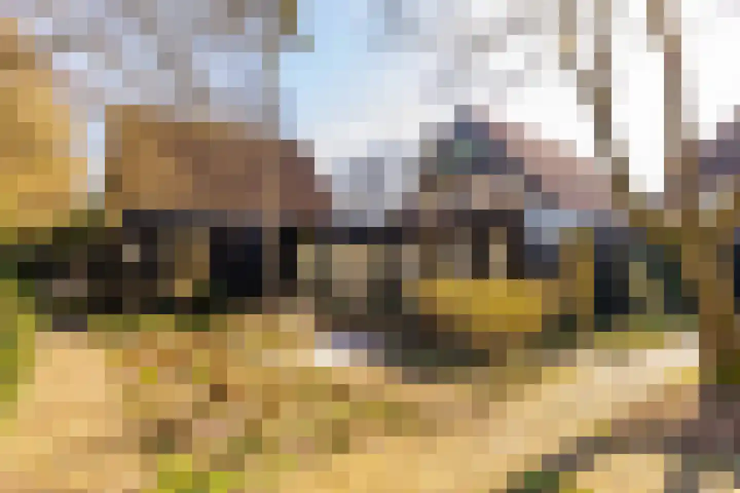 Kerkenbosweg 1 in Zuidwolde