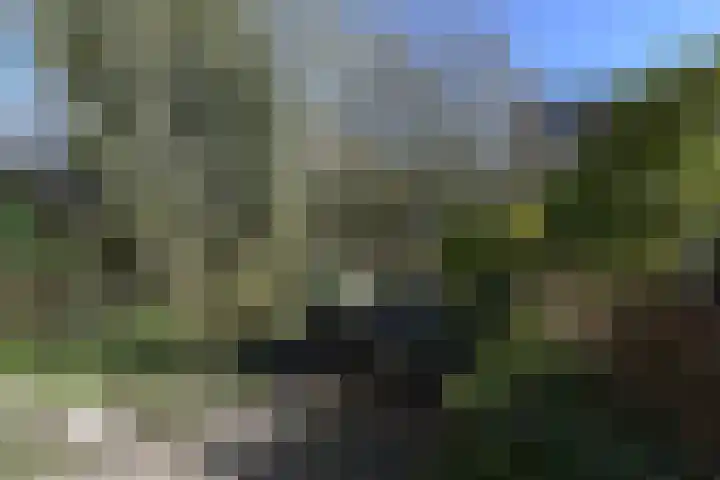 Kerketuin 80 Zwaag thumbnail 21