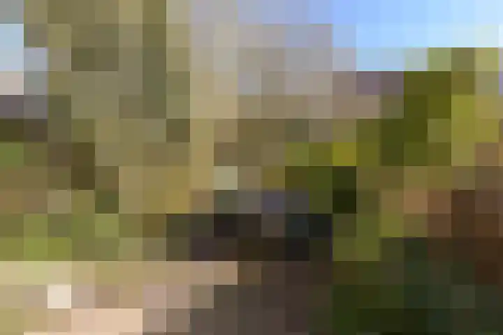Kerketuin 80 Zwaag thumbnail 22