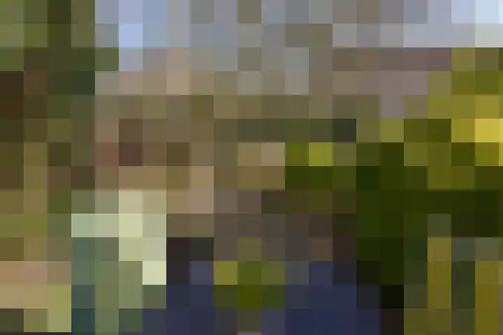 Kerketuin 80 Zwaag thumbnail 23