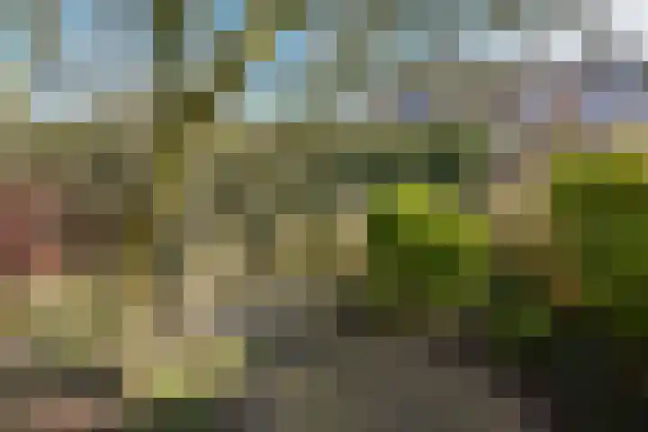 Kerketuin 80 Zwaag thumbnail 24