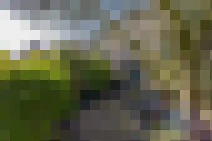 Kerketuin 80 Zwaag thumbnail 26