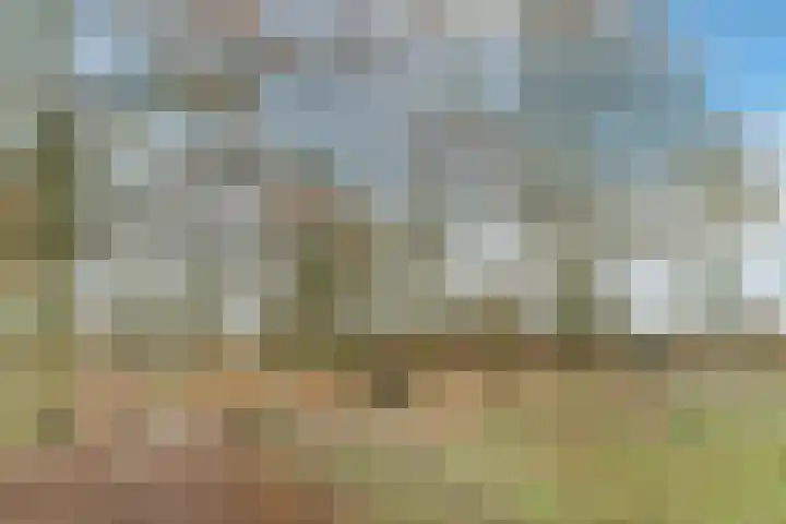 Kerkevelden 19 Eersel thumbnail 49