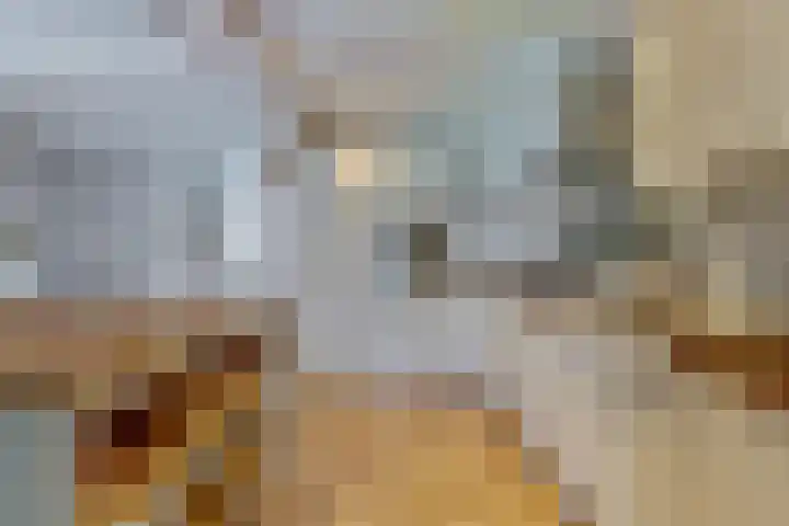 Kerkevelden 25 Eersel thumbnail 16