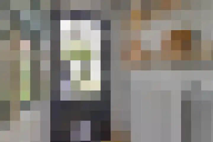 Kerkevelden 25 Eersel thumbnail 17