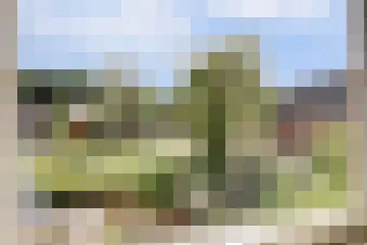 Kerkevelden 25 Eersel thumbnail 21