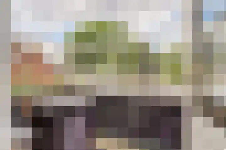 Kerkevelden 25 Eersel thumbnail 26