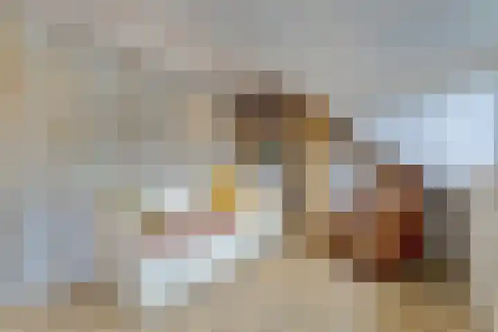 Kerkevelden 25 Eersel thumbnail 33