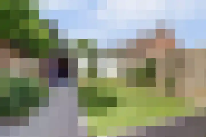 Kerkevelden 25 Eersel thumbnail 36