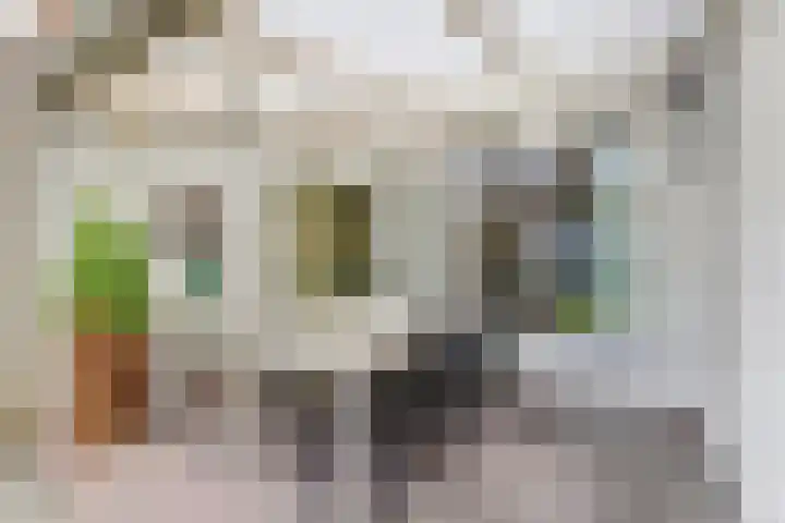 Kerkevelden 25 Eersel thumbnail 39