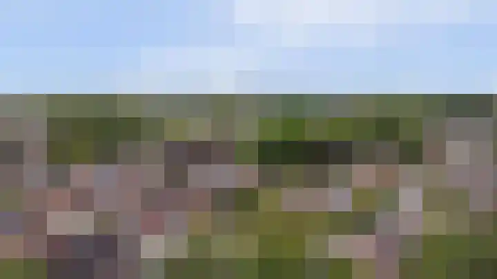 Kerkevelden 25 Eersel thumbnail 42