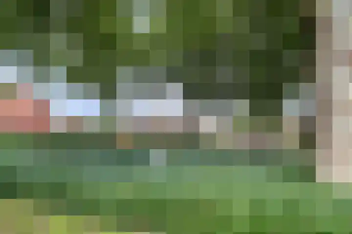 Kerkevelden 25 Eersel thumbnail 45