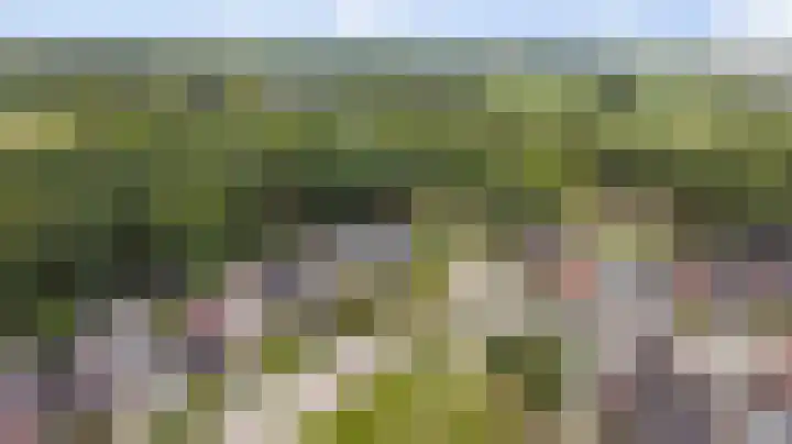 Kerkevelden 25 Eersel thumbnail 46