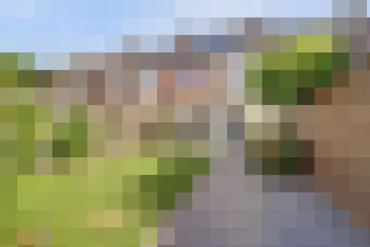 Kerkevelden 25 Eersel thumbnail 5