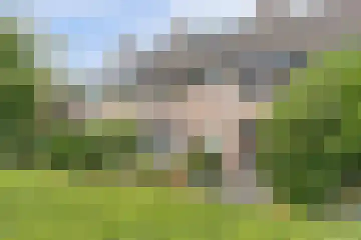 Kerkevelden 25 Eersel thumbnail 6