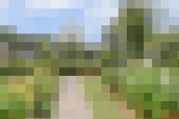 Kerkevelden 25 Eersel thumbnail 7