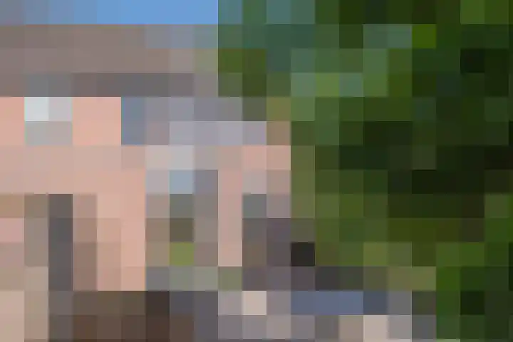 Kerkevelden 57 Eersel thumbnail 34