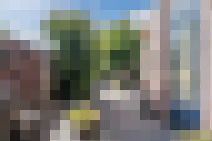 Kerkevelden 57 Eersel thumbnail 38