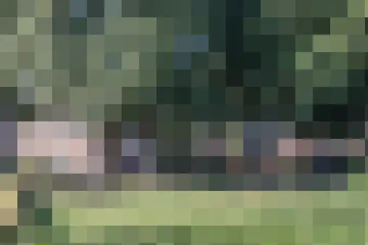 Kerkevelden 57 Eersel thumbnail 42