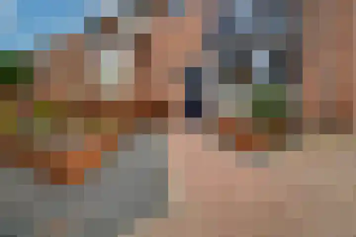 Kerkeveldstraat 22 Didam thumbnail 11