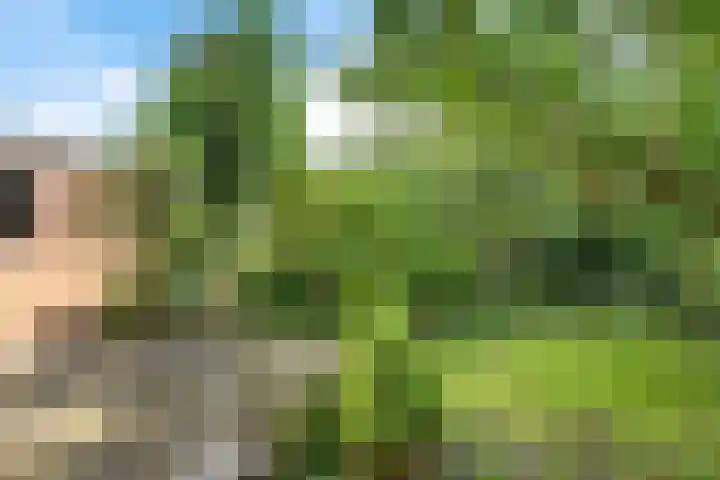 Kerkewal 30 Gorredijk thumbnail 18