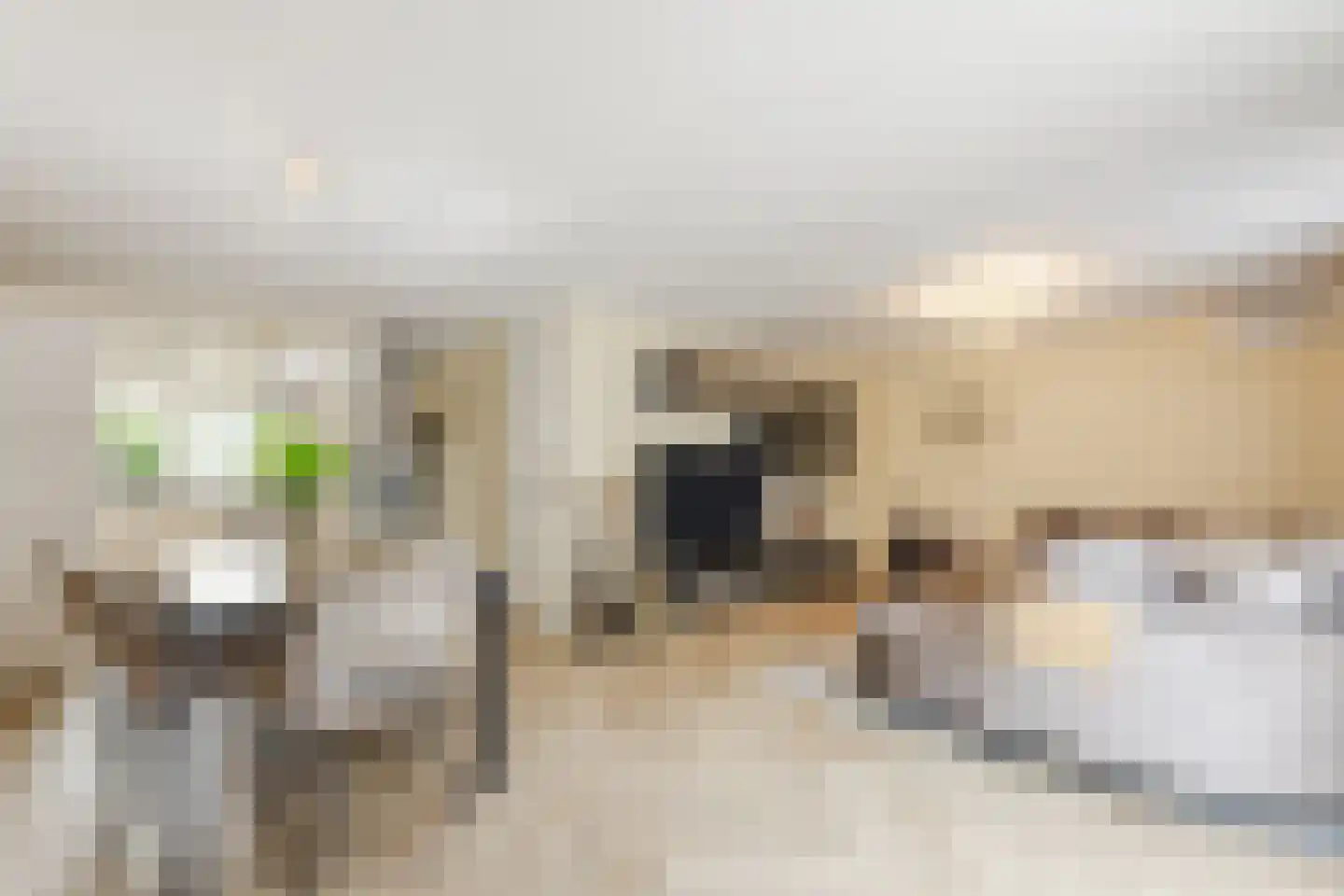 Kerkeweide 21 Duiven thumbnail 14