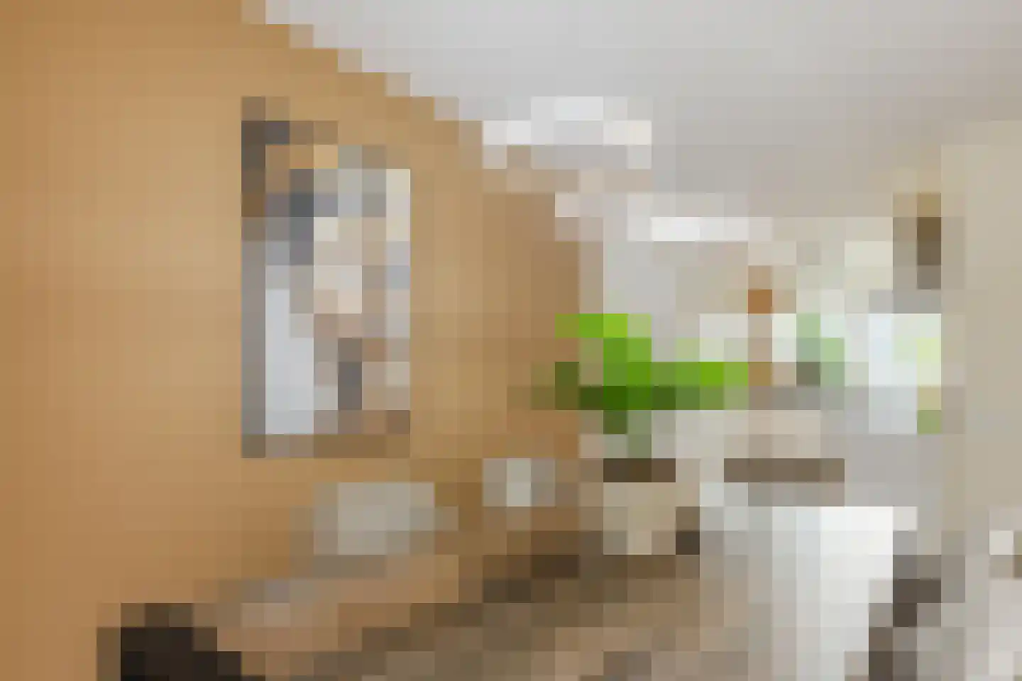 Kerkeweide 21 Duiven thumbnail 15