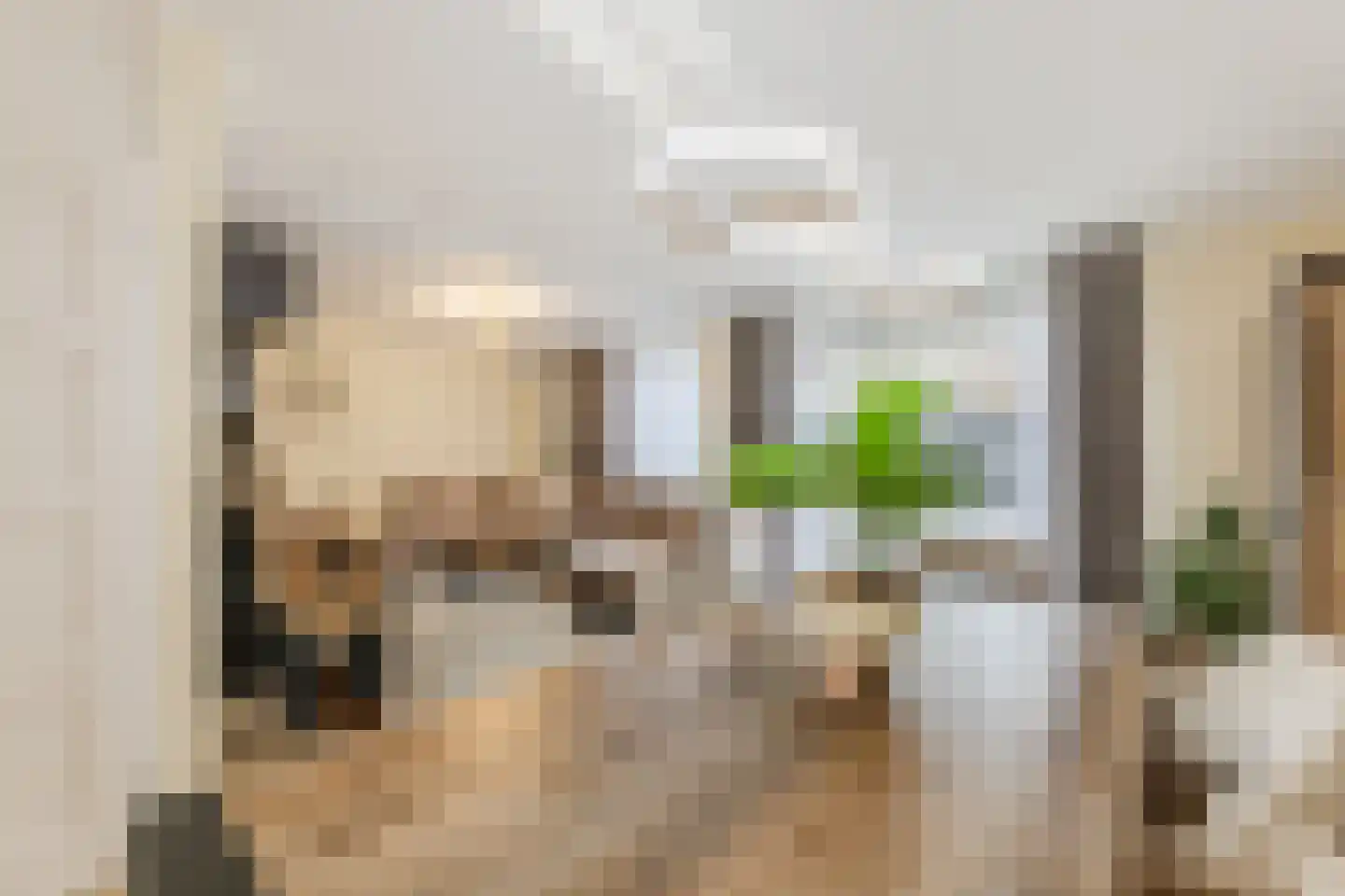 Kerkeweide 21 Duiven thumbnail 16