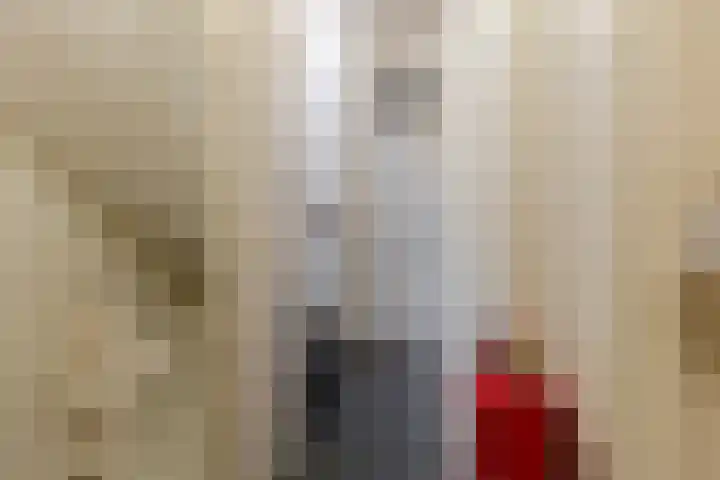 Kerkeweide 21 Duiven thumbnail 25