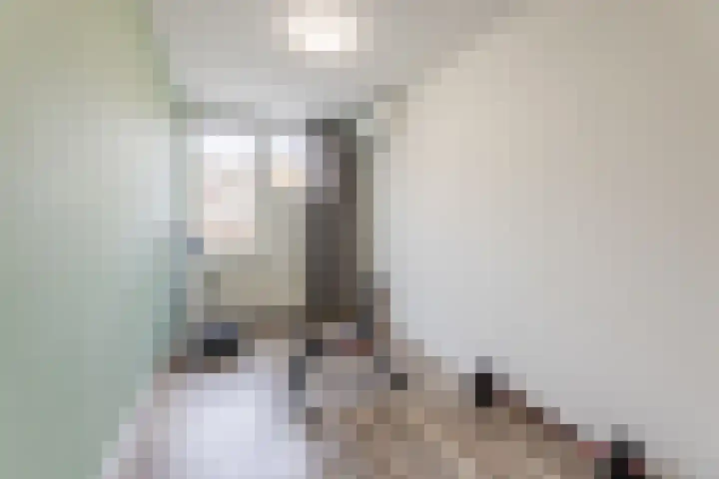 Kerkeweide 21 Duiven thumbnail 30