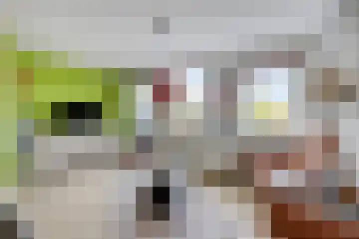 Kerkeweide 21 Duiven thumbnail 43