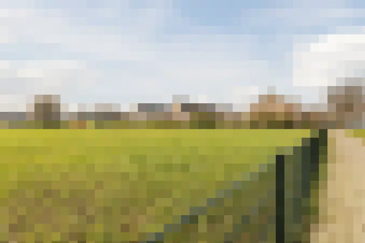 Kerkeweide 21 Duiven thumbnail 54