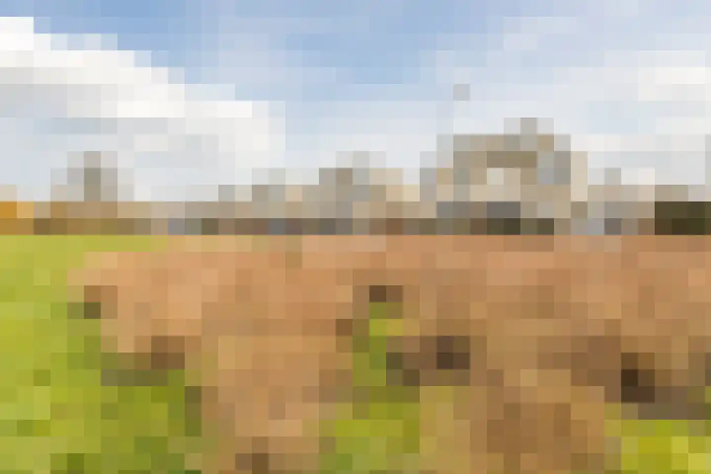 Kerkeweide 21 Duiven thumbnail 55