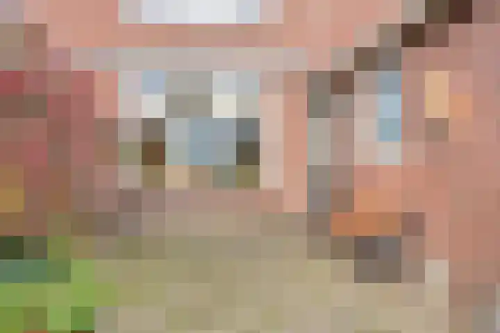 Kerkhoef 5 Nuenen thumbnail 33