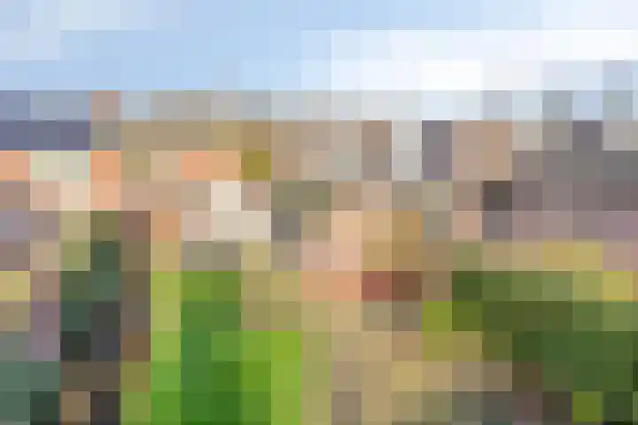 Kerkhoef 5 Nuenen thumbnail 4