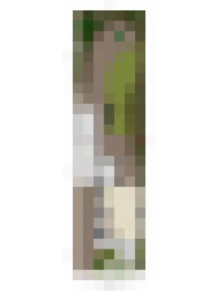 Kerkhoef 5 Nuenen thumbnail 46