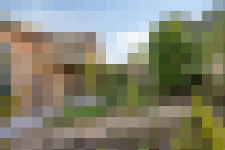 Kerkhoflaan 15 Lunteren thumbnail 33