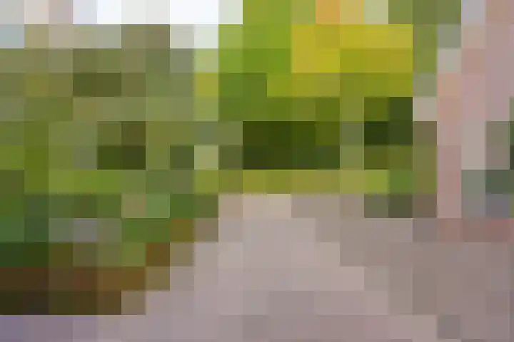 Kerkhoflaan 15 Lunteren thumbnail 40