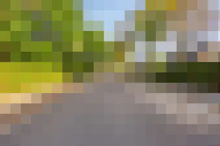 Kerkhoflaan 15 Lunteren thumbnail 48