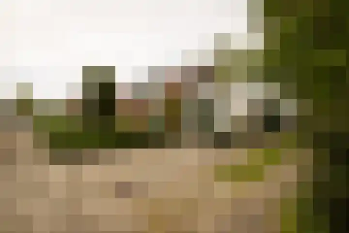 Kerkhoflaan 53 Zwanenburg thumbnail 37